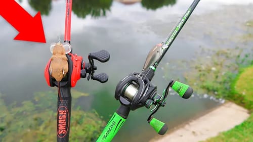 Fishing w/ RATS & Crankbaits While Bank Fishing