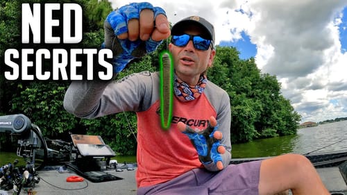 One of the MOST DEADLY Bass Fishing Techniques ~ Swimming a NED RIG