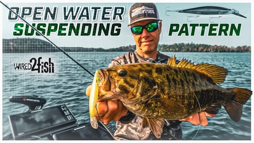 Jerkbaits for Open Water Bass with Forward-Facing Sonar