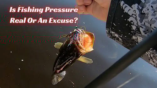Does Fishing Pressure Actually Change Fishing Spots? This Might Surprise You!