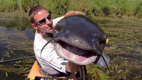 Catching BIG Catfish On Blade Baits!