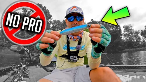 Summer TOPWATER Lures NO Pro will Fish w/out (RIGHT NOW!!!)