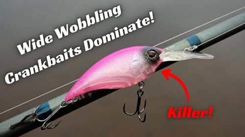 These Wide Wobbling Crankbaits Catch Big Bass In Pressured Cold Water Situations!