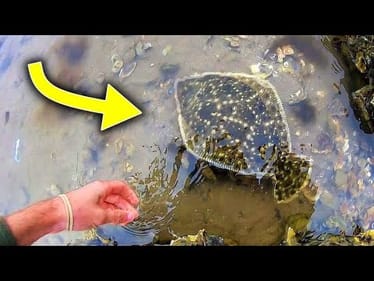 CRAZY FISHING in EPIC LOCATION!! (MULTI-SPECIES)