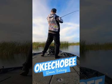 Worm 🪱 Fishing MLF Lake Okeechobee #shorts #bassfishing #mlf