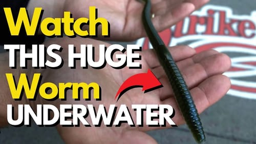 Transform Your Summer Bass Fishing With Big Worms