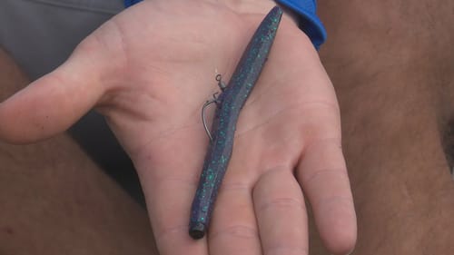 Neko Rig Fishing From The Bank: What You Need To Know | Bass Fishing
