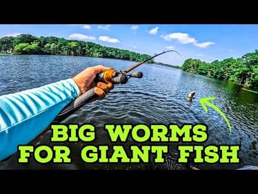 Throwing BIG WORMS To CATCH Deep SUMMER BASS || Giant Fish Caught