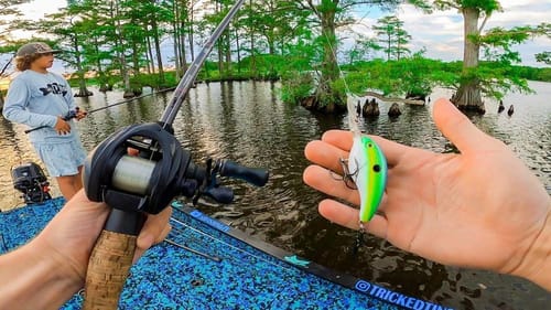CATCHING TWO GIANTS in an afternoon tournament!! Was It Enough to CASH?!