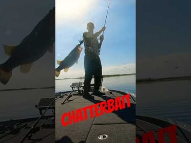 BOAT FLIP! Chatterbait Fishing MLF Lake Okeechobee #shorts #fishing #okeechobee