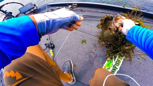 THICK GRASS Was LOADED With BIG BASS!! || INSANE Topwater Action!!!