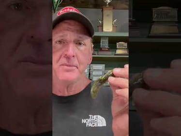Best Smallmouth Lure