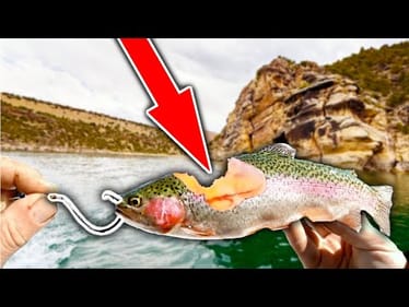These Savage Fish are DESTROYING the Trout Population!! (I caught them)