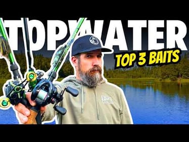 Top 3 Topwater Baits for Beginners (That Actually Work!)