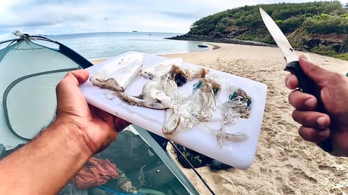 Eat What You Catch, Ultimate Squid Breakfast - Island Camping With @OutdoorChefLife