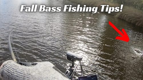 3 Must Know Fall Fishing Tips!