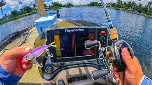 Catching One of the Rarest Fish in the U.S. on Artificial