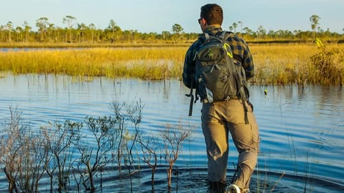 Wade Fishing in The Swamp (LOADED WITH FISH)
