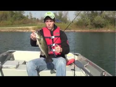 Collection of Fall Largemouth