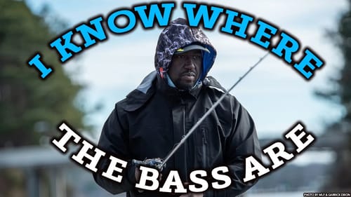 Where to Catch Bass 👉 CONSISTENTLY