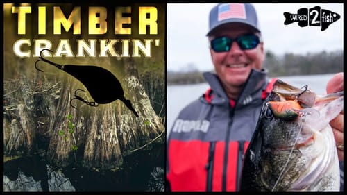 Cranking Timber for Prespawn Bass | Round Bill vs. Squarebill