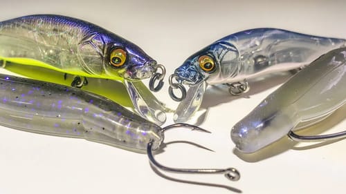 Spring Fluke and Jerkbait Tricks To Catch More Bass!
