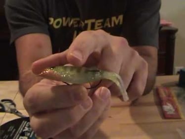 Rigging Big Bite Bait Warmouth