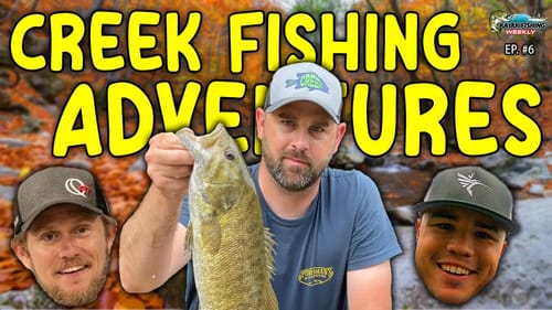 Best Methods of CREEK FISHING with John Dalton of Creek Fishing Adventures