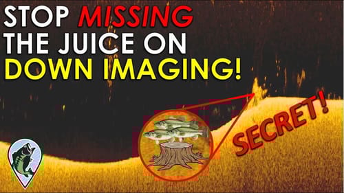What Cover Looks Like on Down Imaging | Bass Fishing Sonar Instruction and Down Imaging Explained