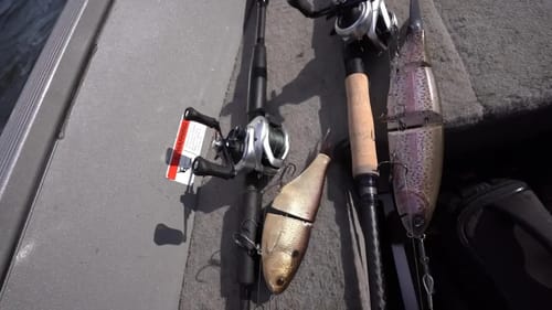 Crossing The Border To Catch BIG Toothy Fish!