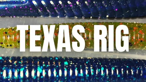 The MOST Versatile TEXAS RIG WORM On The Market
