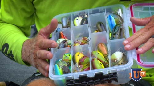Cash BIG CHECKS & Win Tournaments Fishing Squarebill Crankbaits