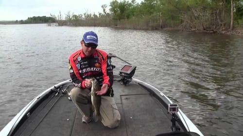 How to Fish Jerkbaits When Bass Spawn
