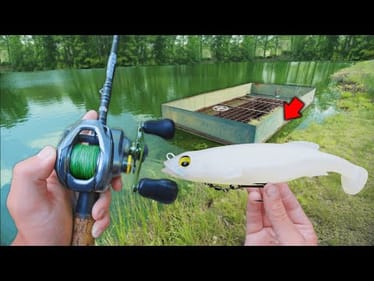 Fishing For POND MONSTERS W/ GIANT Swimbaits! (NEW PB)