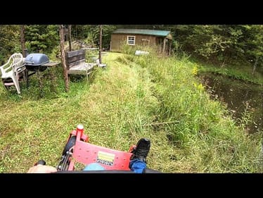 MOWING INSANELY OVERGROWN GRASS AT MY ABANDONED OFF GRID CABIN