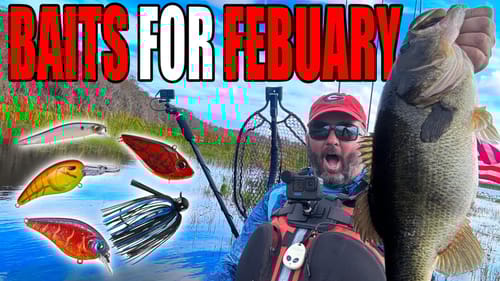 Baits to use in February - Bass Fishing