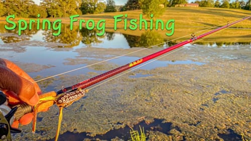 SPRING FROG FISHING! 🎣