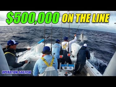 This ONE Fish Could Win ME $500,000