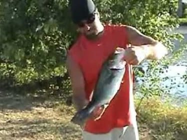 Pond Fishing: 4 3/4 lb Bass on LFT frog