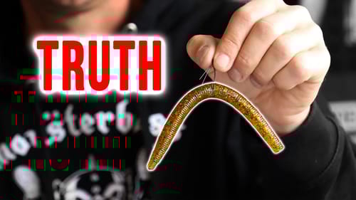 The TRUTH about the WACKY Rig