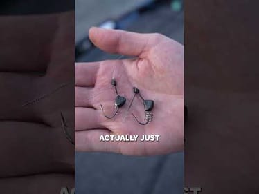 This dice bait setup is key for 2026.