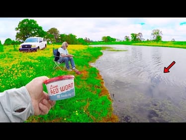 Let Me Show You An Easy Way To Catch Loads Of Fish In Your Local Pond