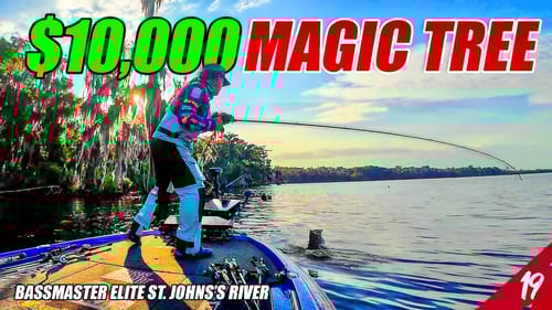 I Caught $10,000 of BASS off This TREE - Bassmaster Elite St. John's River (Tournament) - UFB S4 E19