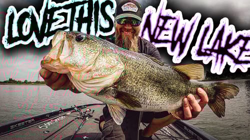 New Lake Has BIG BASS!! Never Seen This Place Before But Let's Fish It!