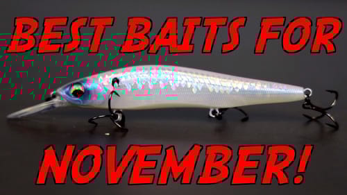 YOU Can't Beat These 3 NOVEMBER Lures!