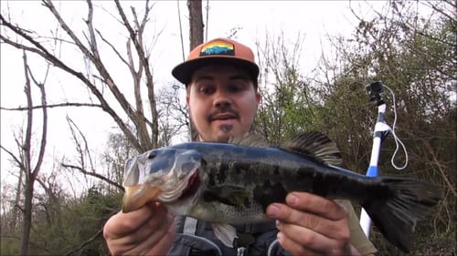 HE CAME BACK FOR THE JIG TWICE         || INSANE LOOKING BASS ||