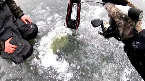 This Pond is Full of FREAK Fish!!! Epic Day!