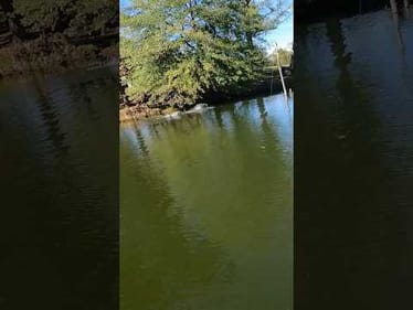 Talk about being at the right place￼ at the right time #Fishing #Shorts
