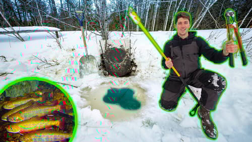 Building a Fish Dam In My BACKYARD POND! (We Had To Save Them)