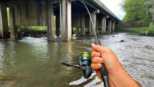 These Bass are Different...Spinnerbait vs Hellgrammite